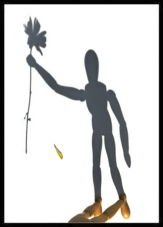 Man with a Flower