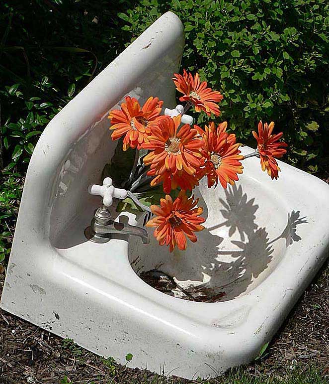 Basin Blossoms