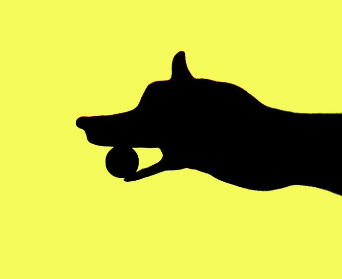 my dog spot  ;^)
