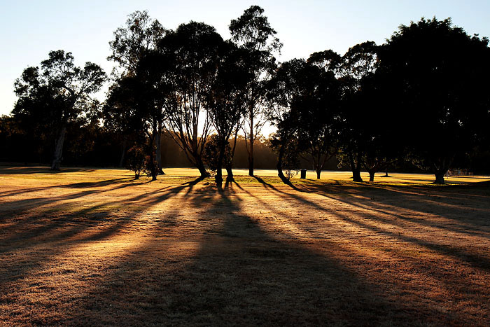 5th - Capalaba Morning by Rod