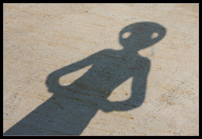 Take Me to your Leader