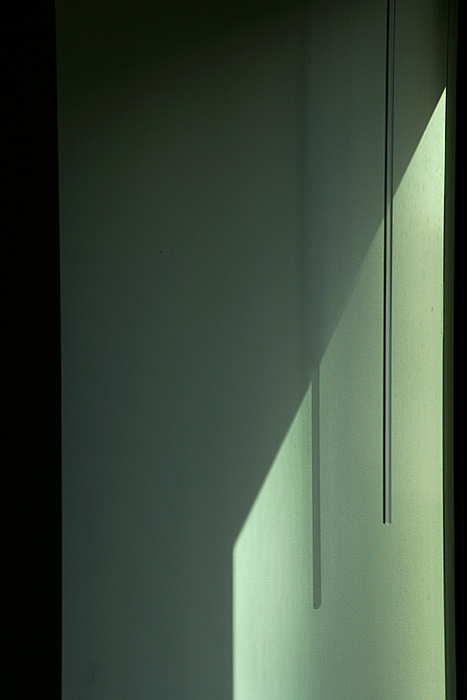 Shady Shadow