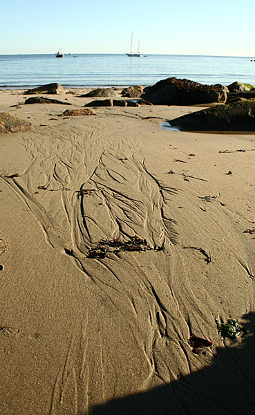 Low Tide