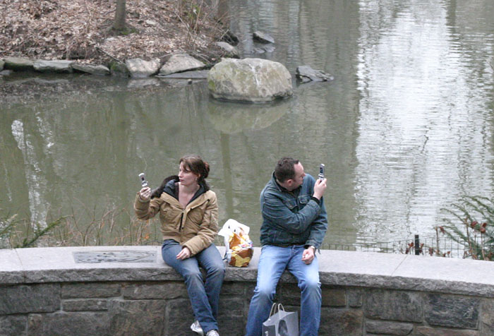 Postmodern Nature Walk