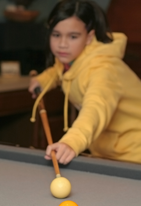 Pool shark