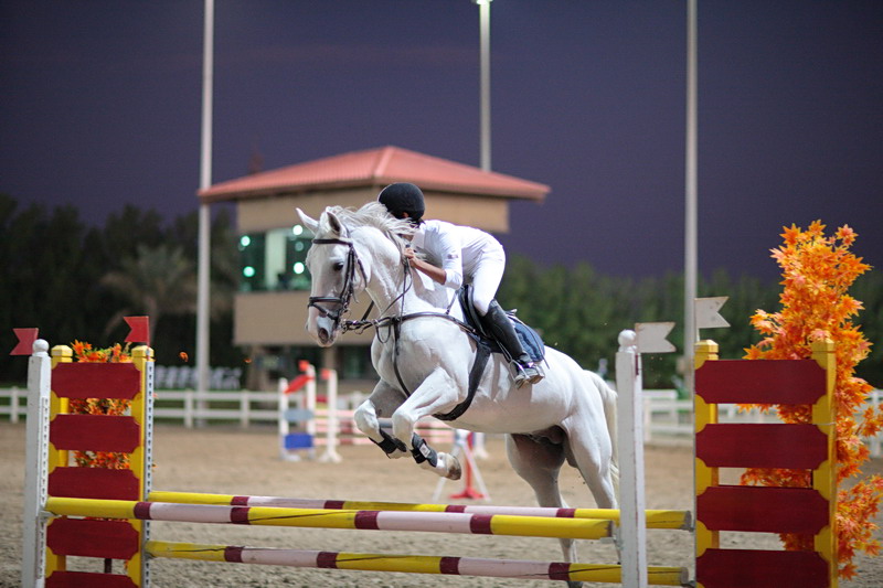 Equestrian_2