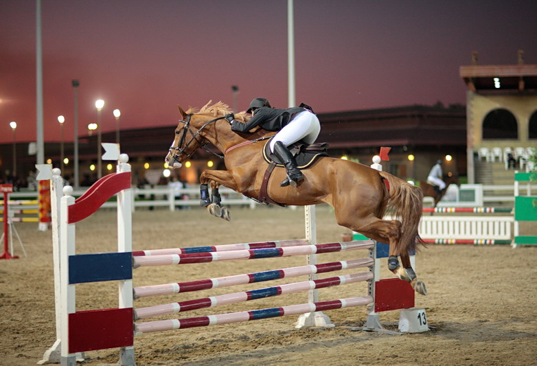 10th Place - Equestrian_3 by aam1234