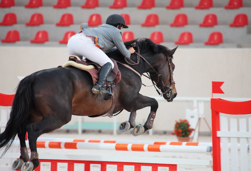 Equestrian_4