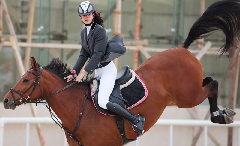 Equestrian_5