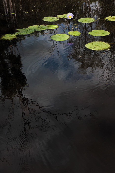 Water 14