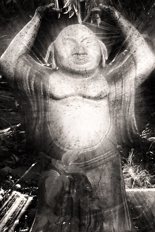 6th. Divine Gut
