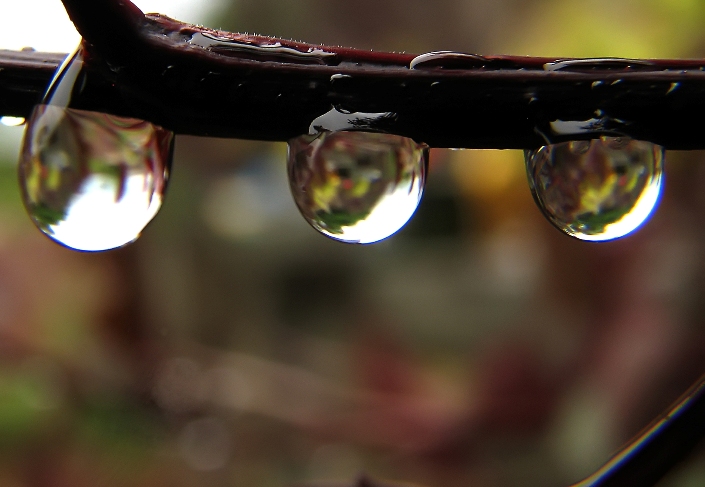 #3 Drip, Drip, Drip