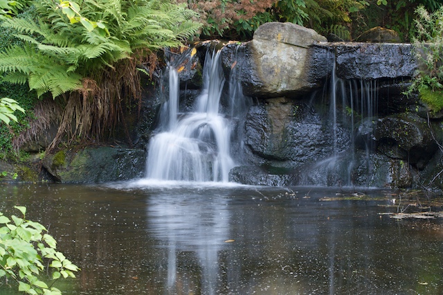 Stanley Park