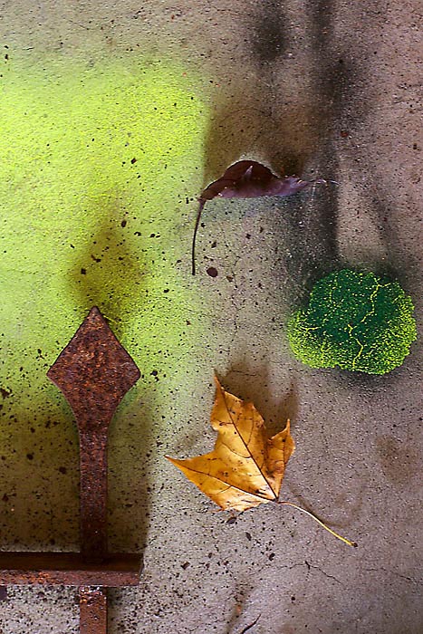 Rust *