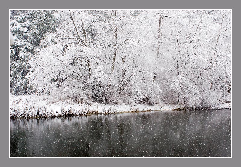 Falling Snow *