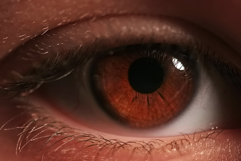 *Pupil*