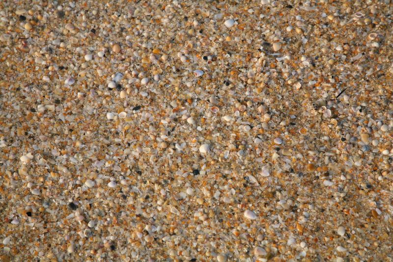 sand *