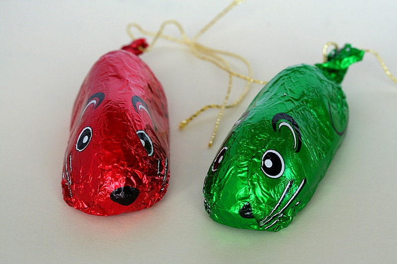 Mice *