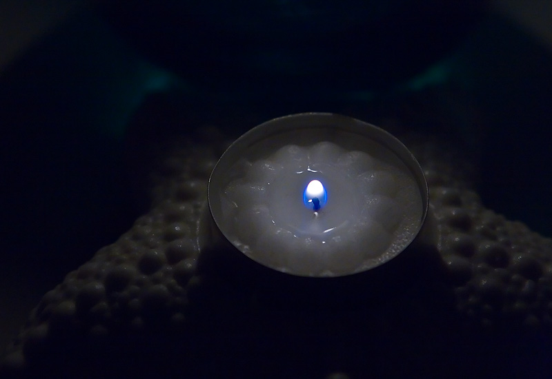 Pushing Back the Dark *