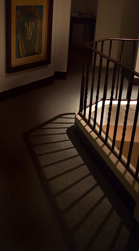 What Lurks in the Dark? *