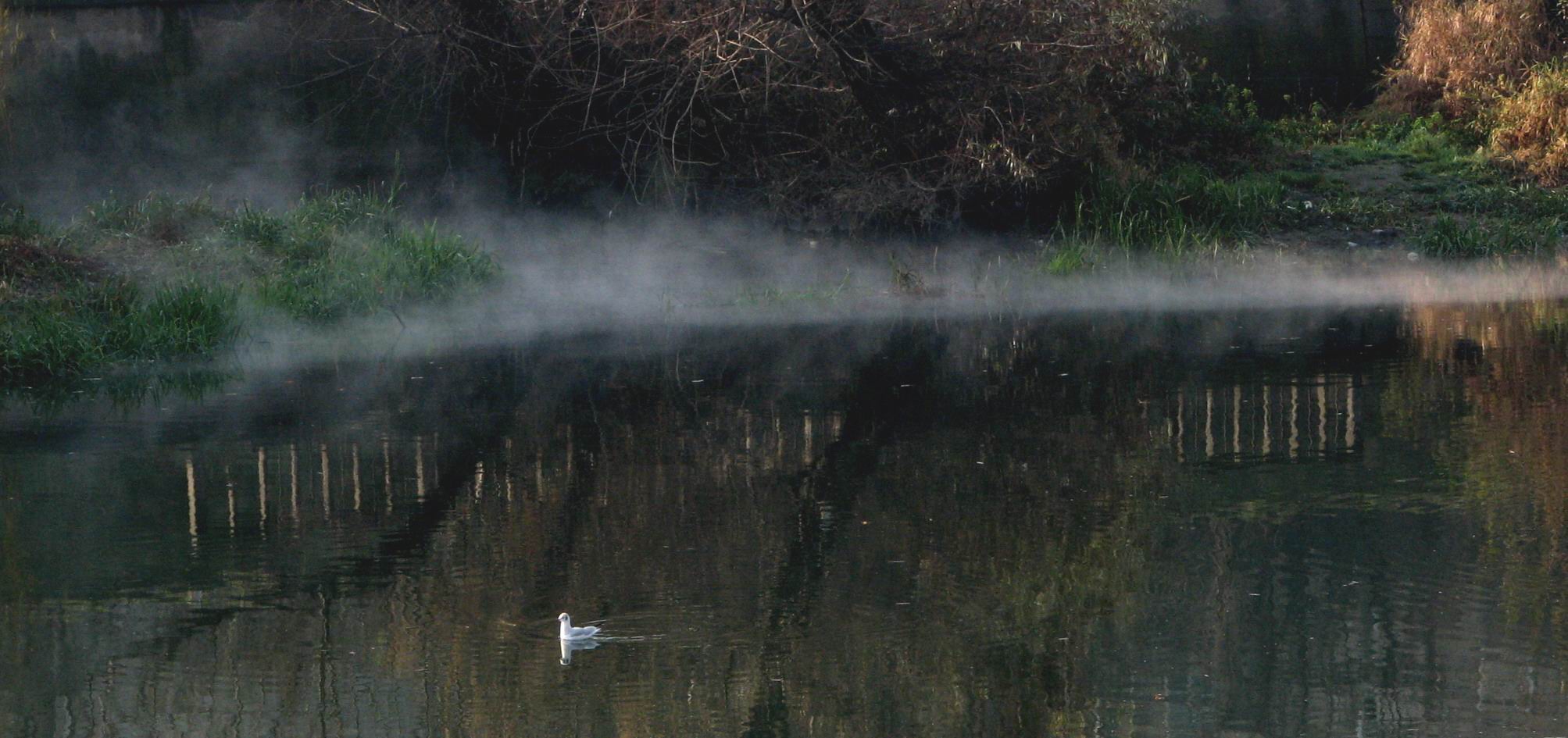 Smoke on the Dark Water