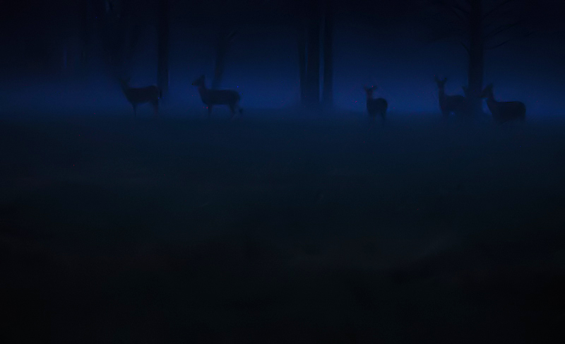 10th: Foggy Dusk * by RK