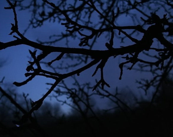 Night Falls *