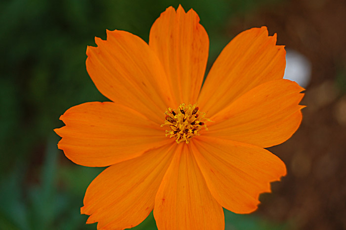 Circular Symmetry
