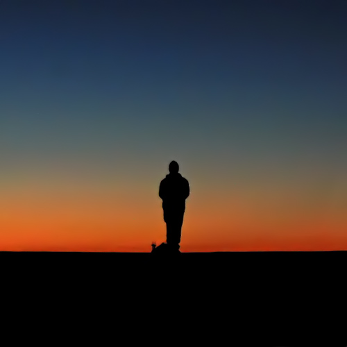 Enjoying The Sunrise*
