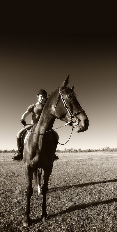 Horse & Rider