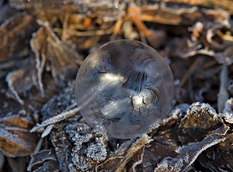Frosty bubble I *