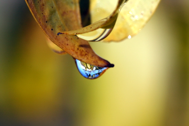 Underslide*