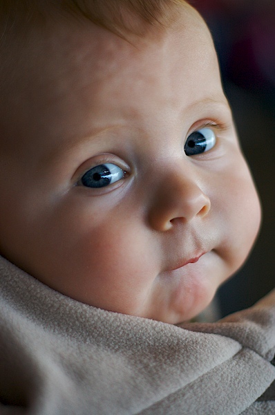 Inquisitive II