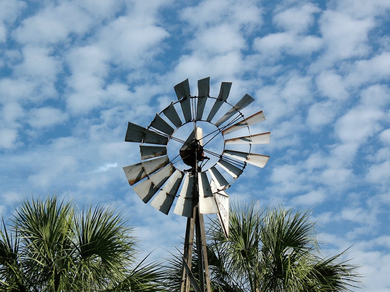 Windmill at the Park*