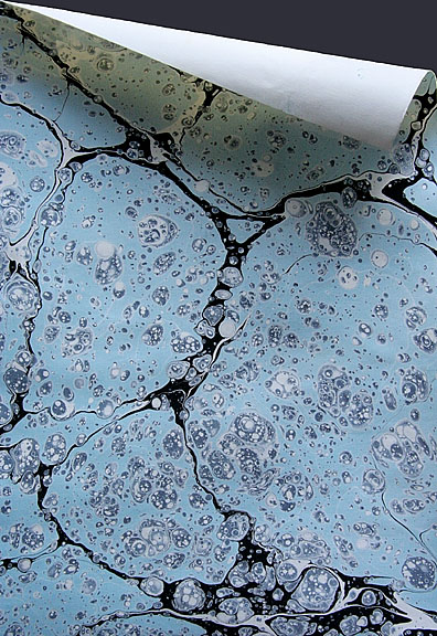 3rd: Marbled *