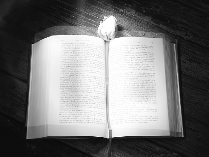 *Classical Reading*