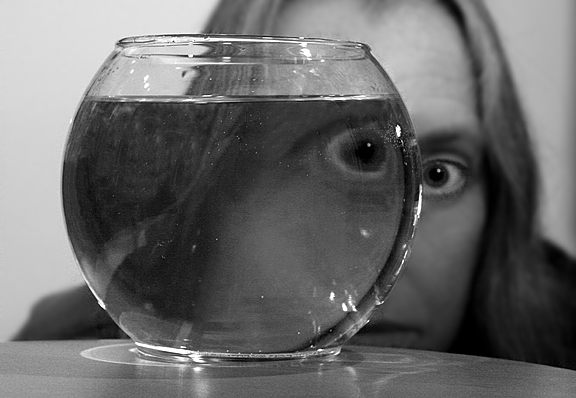 Noseless and Fishless *