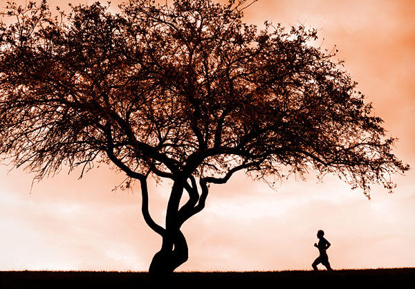 The Jogger