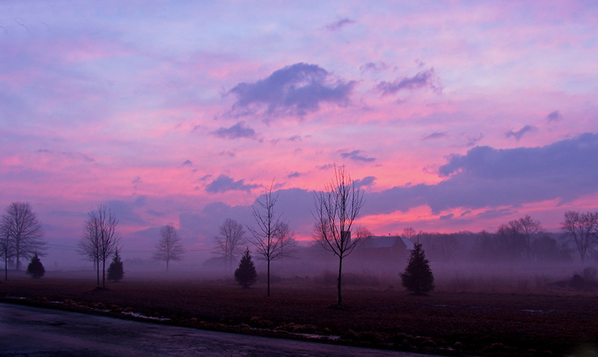 Foggy early morning  *