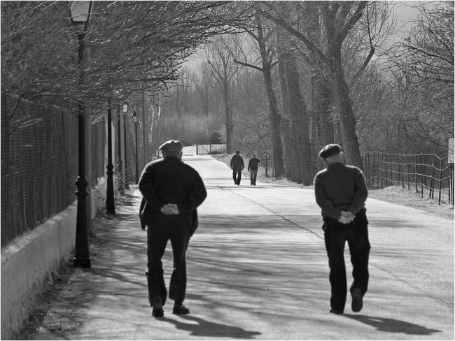 An Early Morning Stroll *