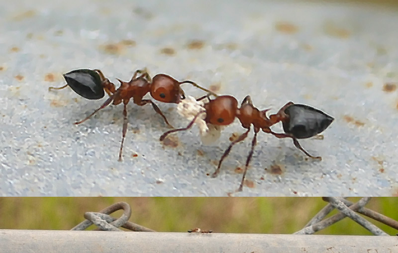 Ant (I mean And) to see youre really only very small..