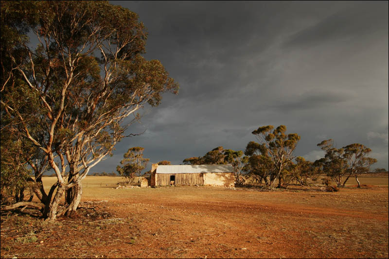<b>6th (tie)</b><br>Cottage & Gums<br>by Andy Smylie