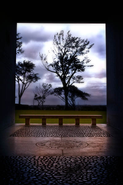 Framed Tree*