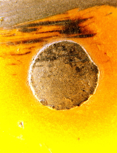 Sun Spot