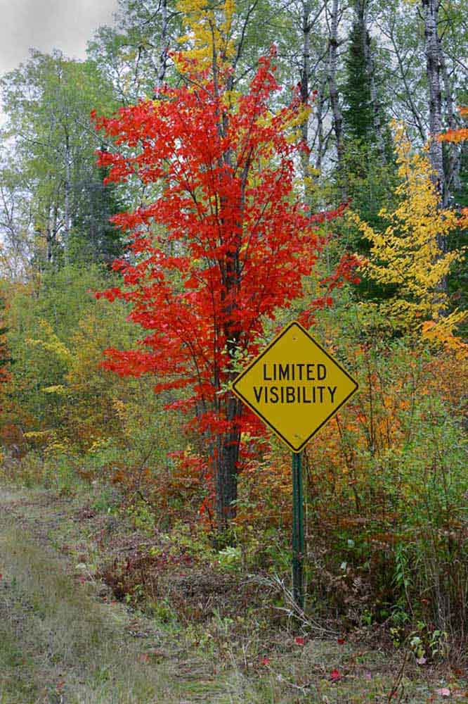 Limited Visibility   *
