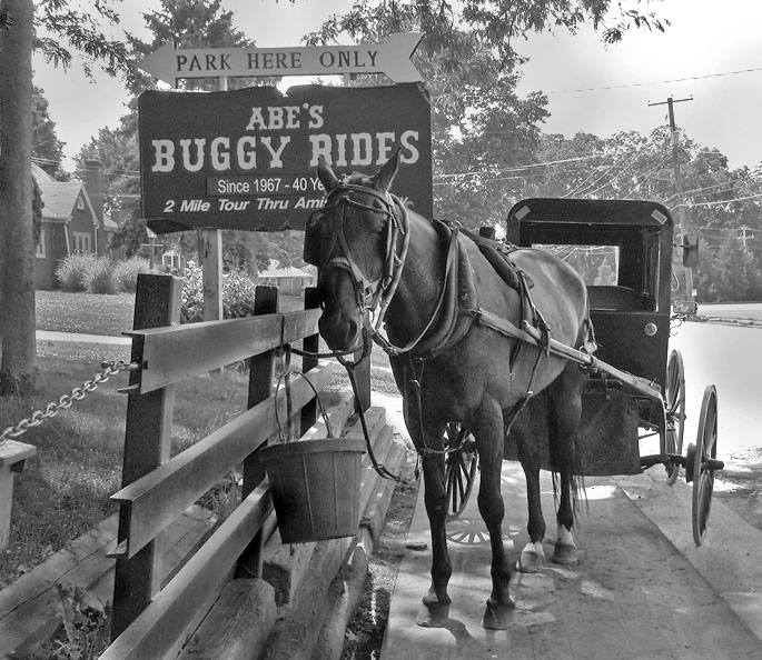 Buggy  *