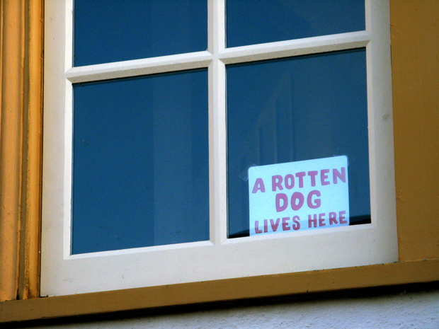 Rotten Dog  *