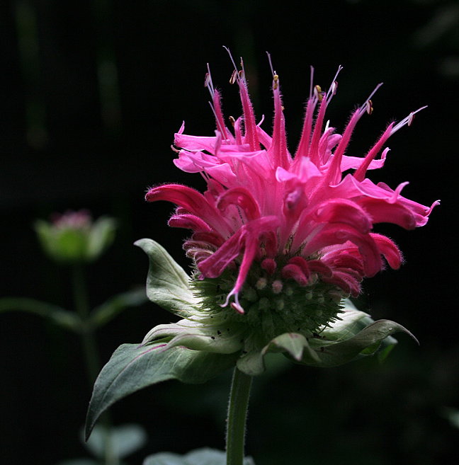 Opening Up