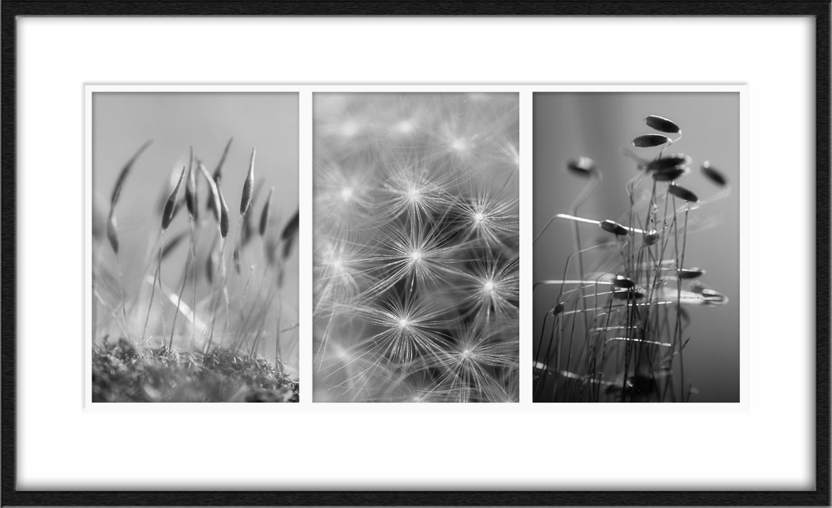 Abstracts in nature *