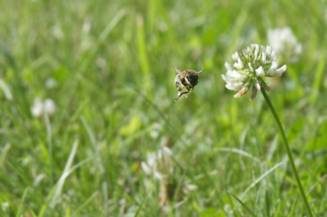 * delicate landing ahead